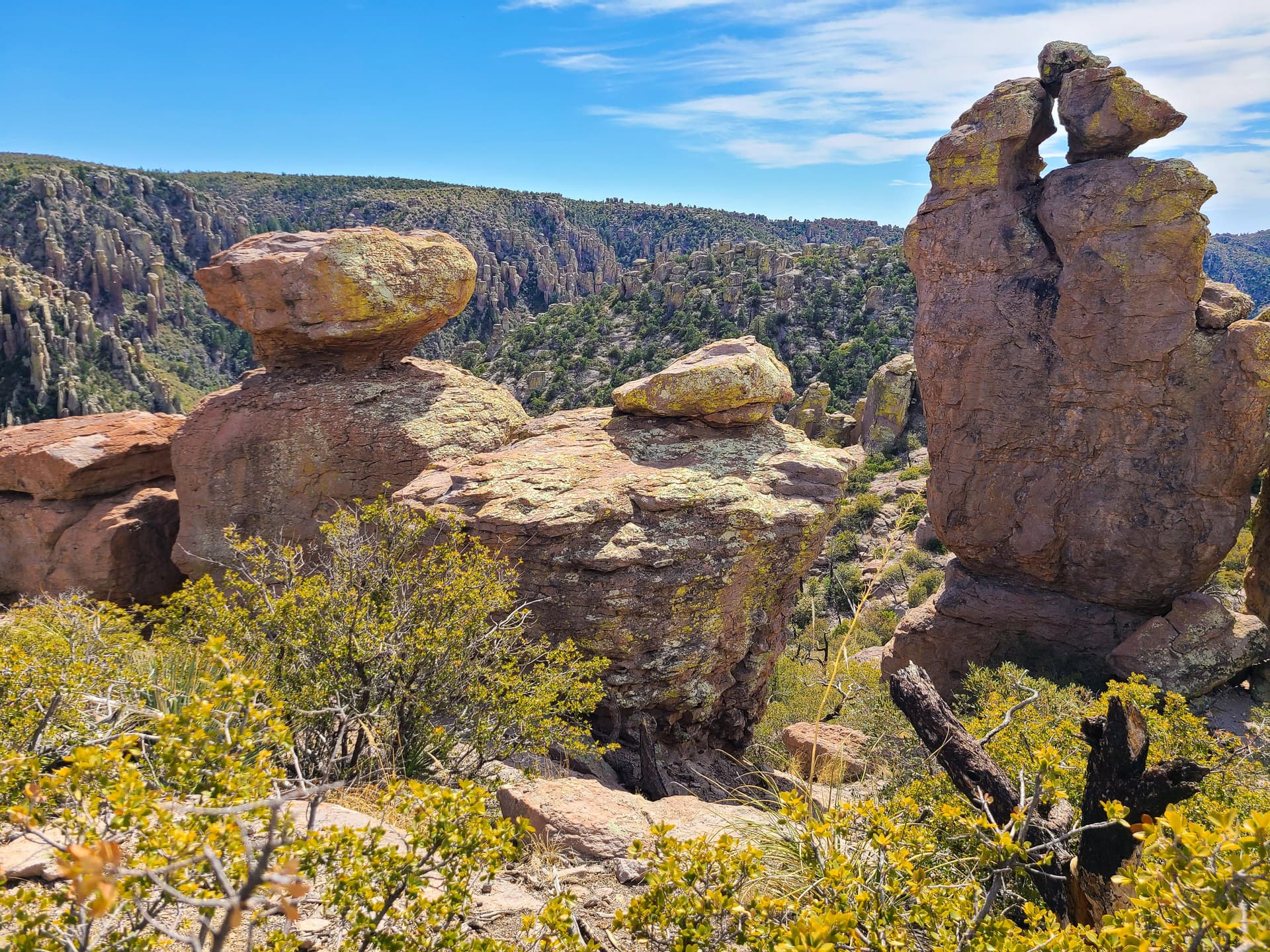 Enormous balanced rocks with many pinnacles behind and trees in front, view from Massai Point, Chiricahua National Monument
