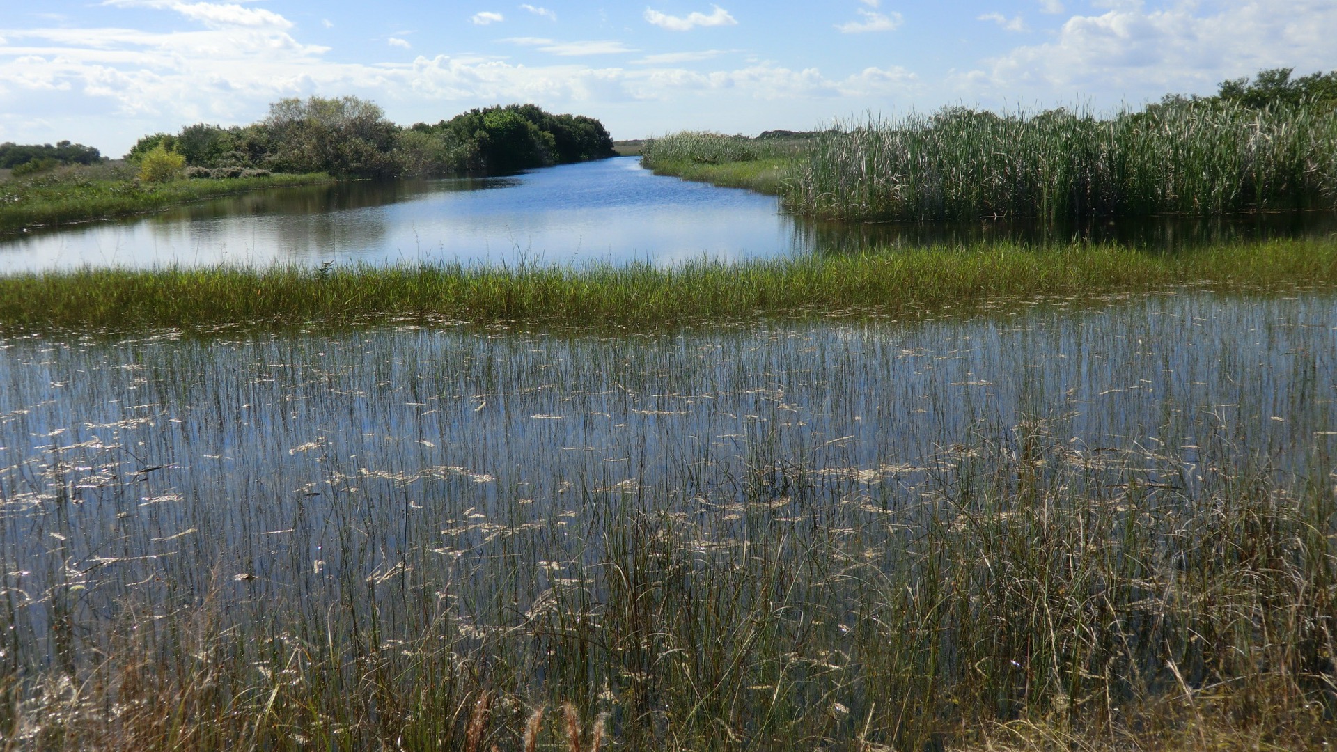 Pa-hay-okee overlook, River of Grass, Everglades National Park