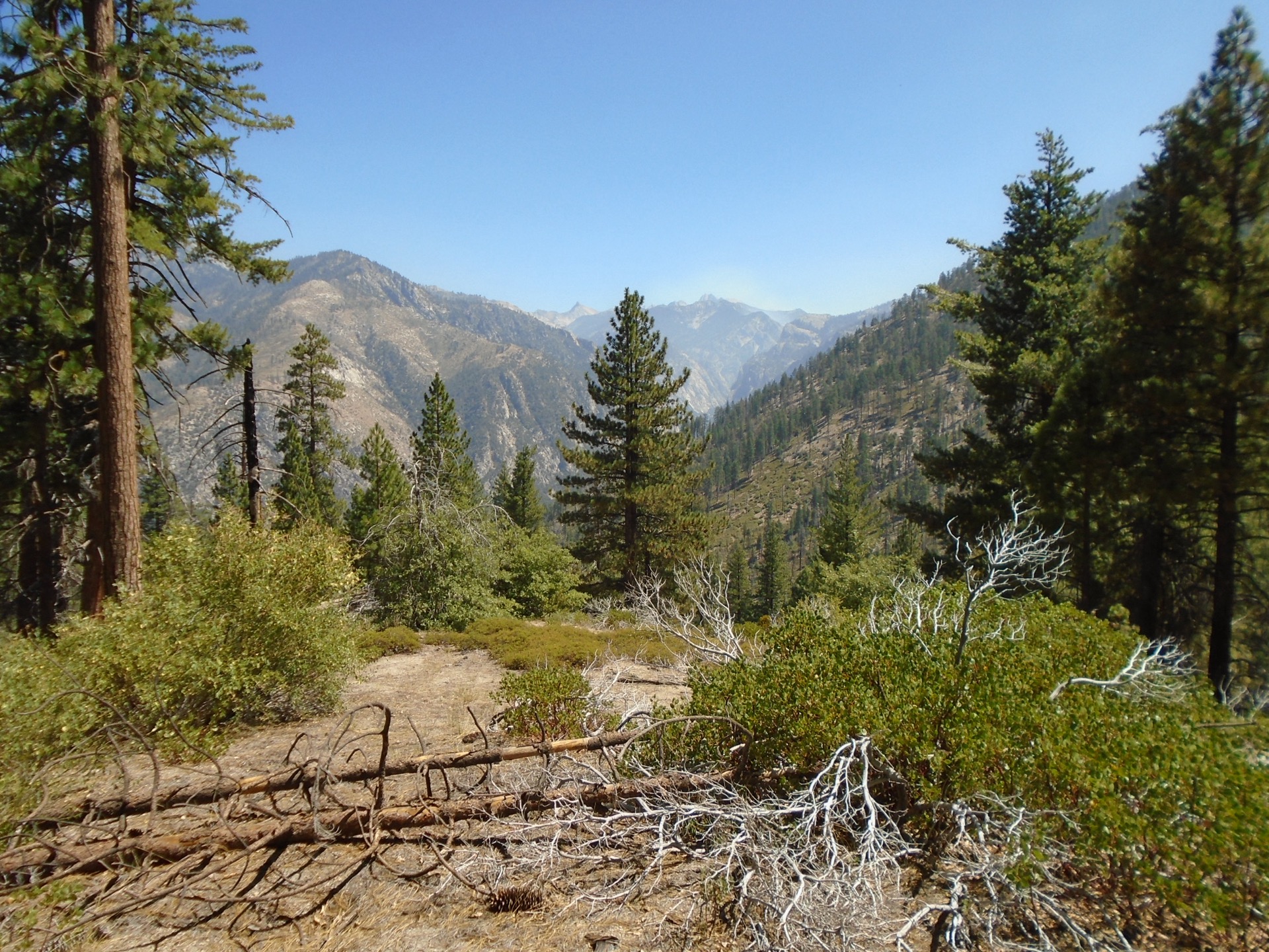 View of Kings Canyon from the Don Cecil Trail