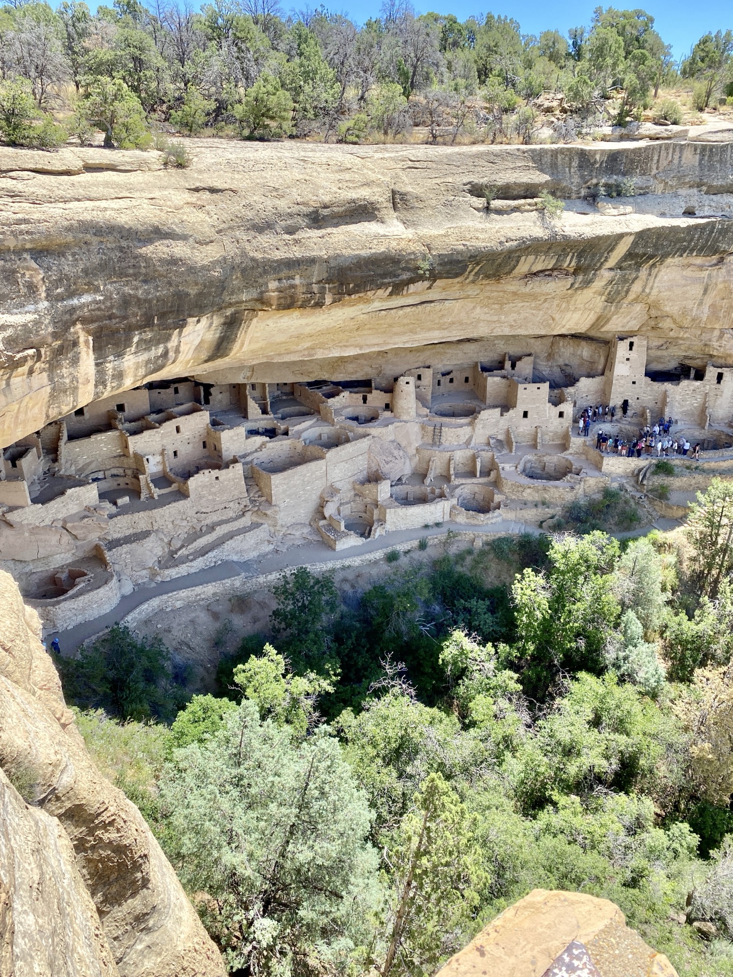 Cliff Palace viewed from Cliff Palace Overlook, Mesa Verde National Park