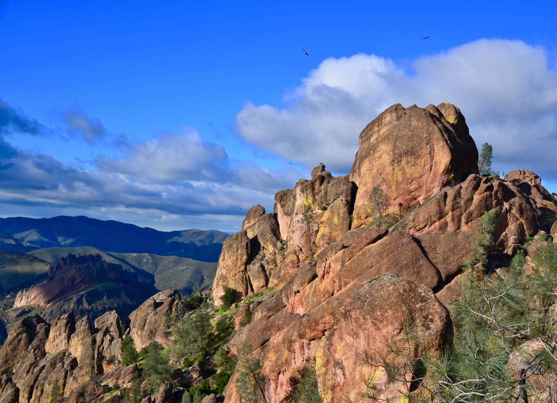 High Peaks and condors, Pinnacles National Park