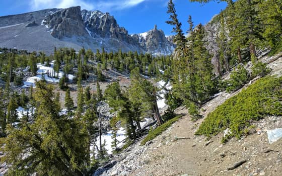Wheeler Peak cirque, Great Basin National Park