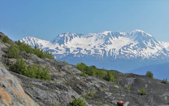 Exit Glacier, the only road-accessible part of Kenai Fjords National Park