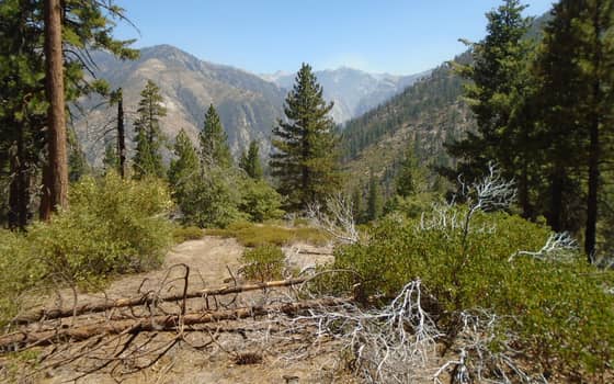View of Kings Canyon from the Don Cecil Trail