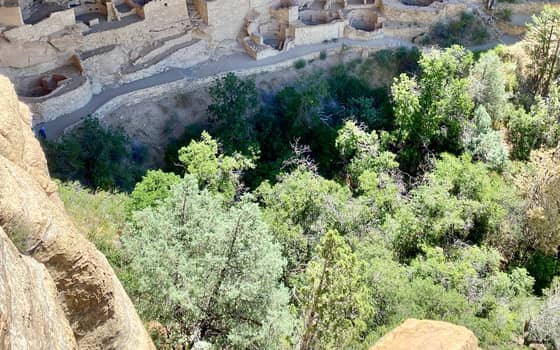 Cliff Palace viewed from Cliff Palace Overlook, Mesa Verde National Park