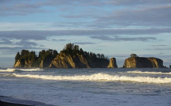 Sea stacks along the Olympic coast, Olympic National Park