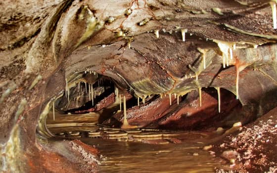 Stalactites reflected in a pool along Skyway Lake in Wind Cave