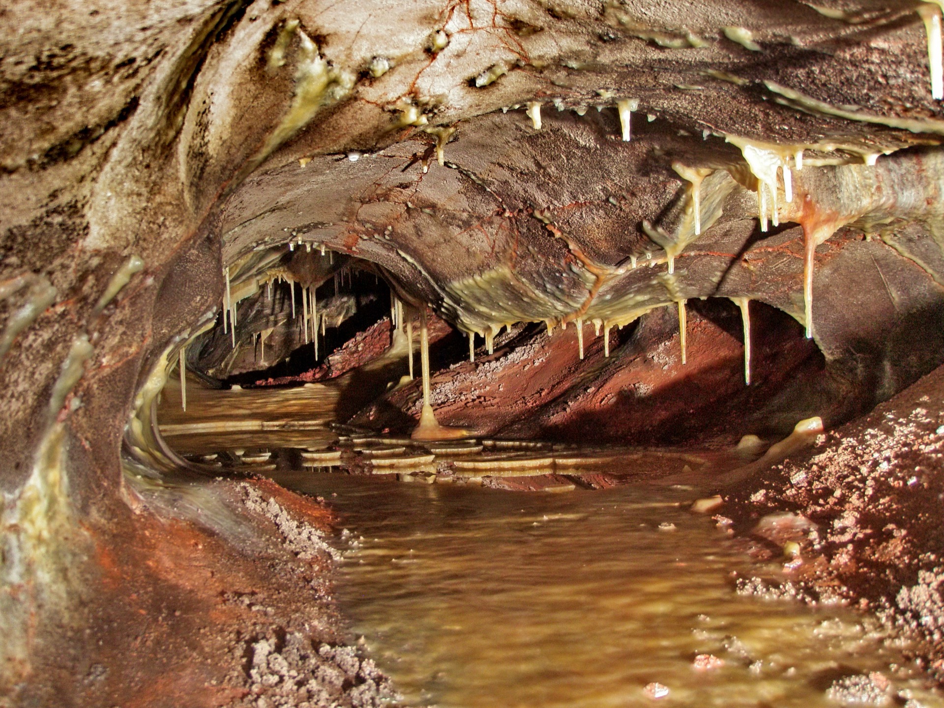Stalactites reflected in a pool along Skyway Lake in Wind Cave